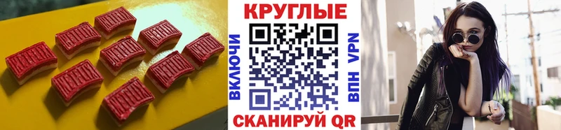 Ecstasy Philipp Plein  Купить  Новотроицк 