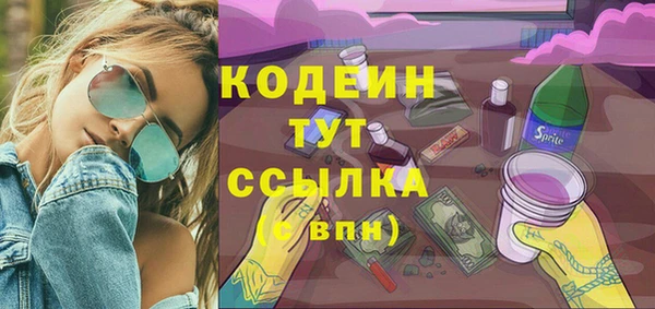 крисы Богородицк