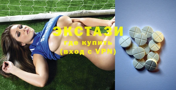 крисы Богородицк