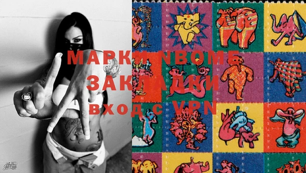 крисы Богородицк