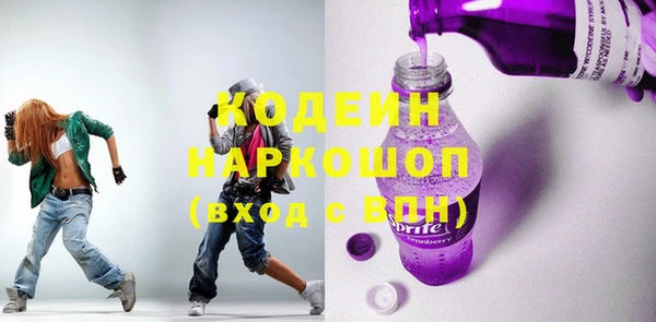 крисы Богородицк