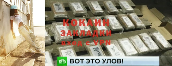 крисы Богородицк