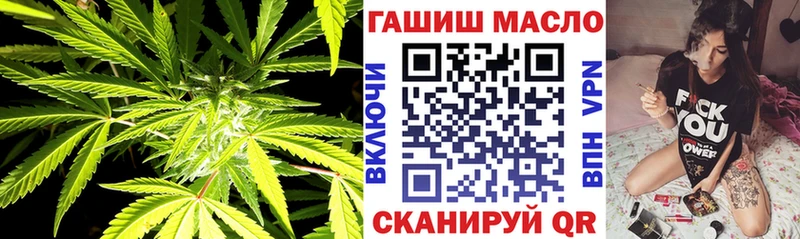Купить закладки  Новотроицк  ТГК концентрат 