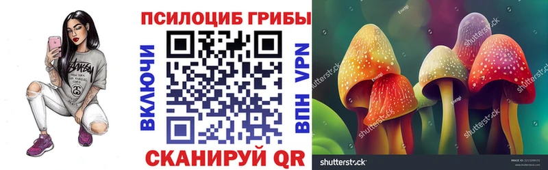 Псилоцибиновые грибы мухоморы  Купить закладки  Новотроицк 
